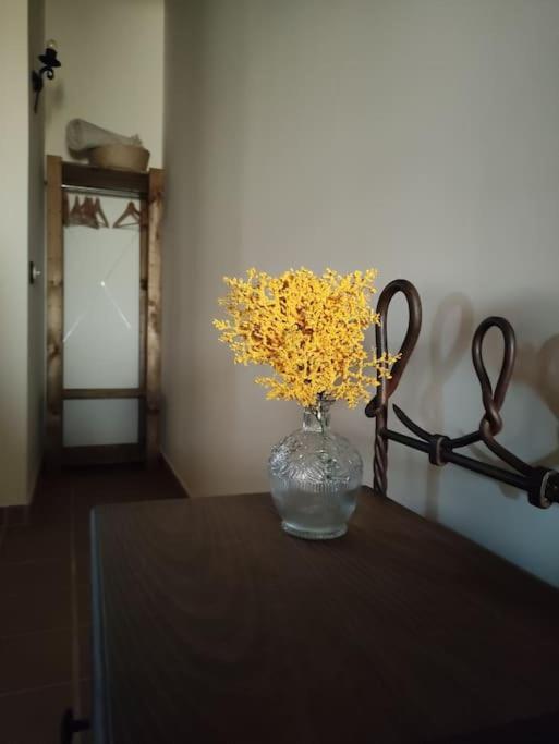 La Casa De La Abuela Amalia Apartment Аренас де Сан Педро Екстериор снимка